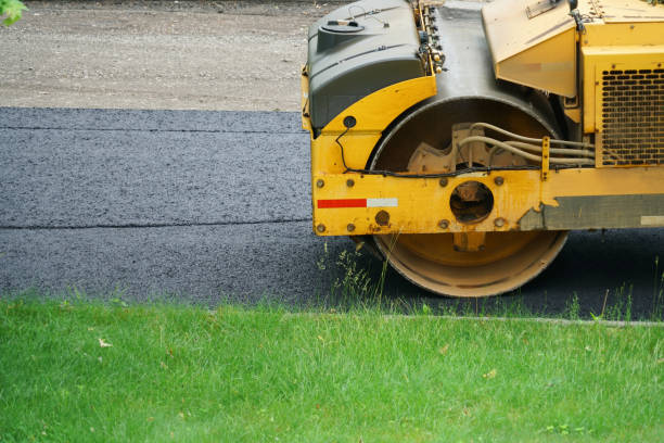 Best Custom Driveway Pavers  in Timberwood Park, TX